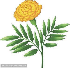 每天的心情说说大全(60句)