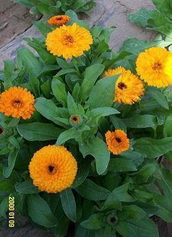 套路人的情话 超甜撩人套路一问一答