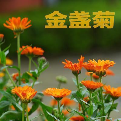 给女朋友留言的暖心话语
