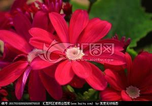 清明时节的心情句子和诗句