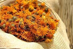爱国人物我知道的好句子71条