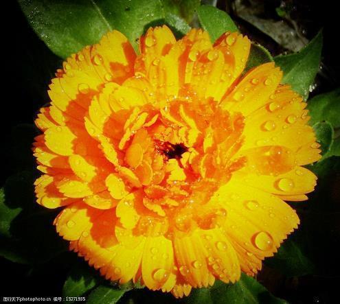 谴责道德绑架的名人名言32条