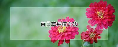 精选罗永浩语录，老罗语录