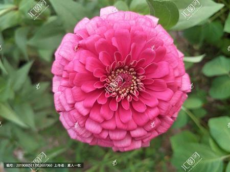 描写果园的优美句子 形容果园丰收的句子