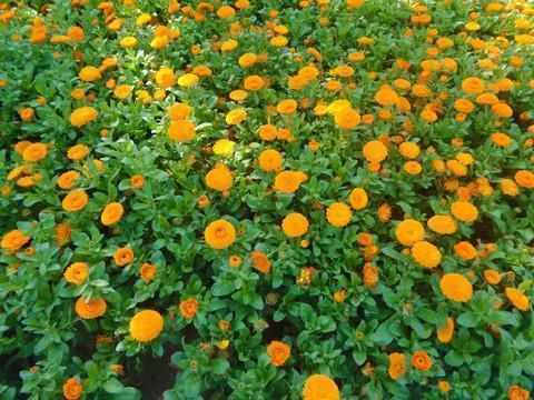 教师节祝福的话语,句句暖人心(精选87条)