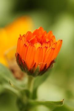 高速公路堵车的说说_生日的说说感慨说说