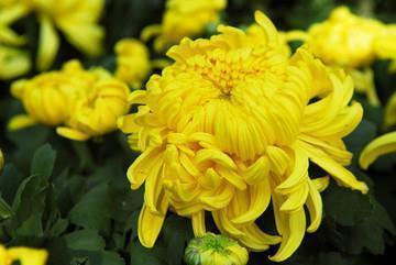 元宵节祝福语微信朋友圈