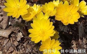 过形