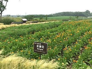 最经典的座右铭