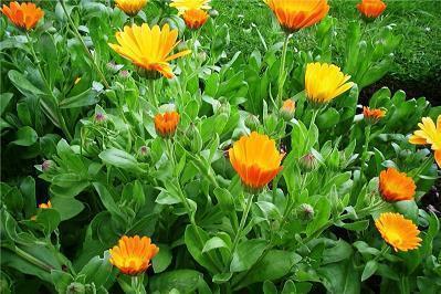 节