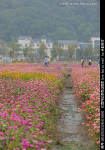 【推荐】2021端午节短句祝福语汇编97句