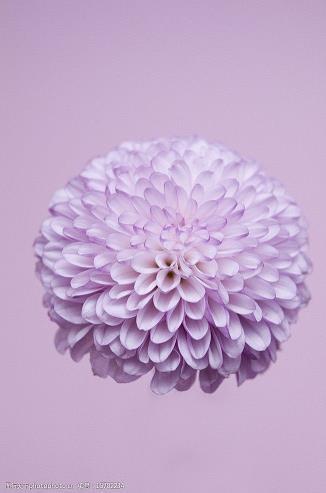 诚心去拜佛的感言说说