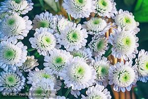 端午节祝福语句简单独特合集64句