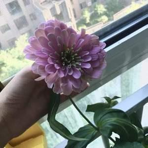 朋友圈高考励志心情说说91句