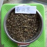龙楼