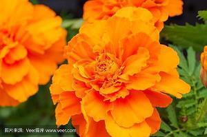 饱含人生哲理的小故事两则含感悟