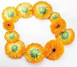 感恩节经典贺卡寄语