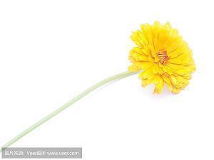 脑袋空不要紧、关键是不要进水