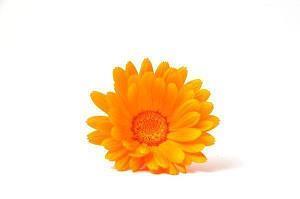 关于披萨饼的励志故事：将失败的门敲破