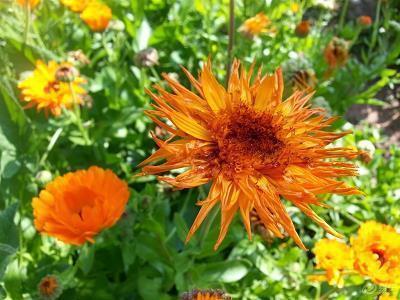 关于满足幸福的唯美句子