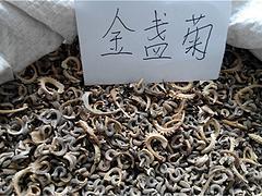 祝福护士简短的话