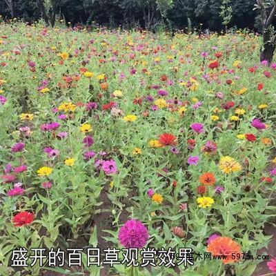 穷通得失