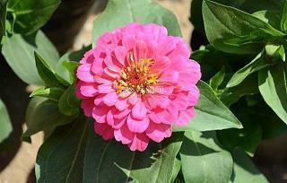 教师节祝福语简短一句话大全(精选93条)