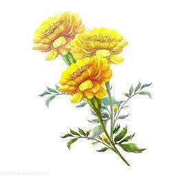 描写练书法艰难的句子
