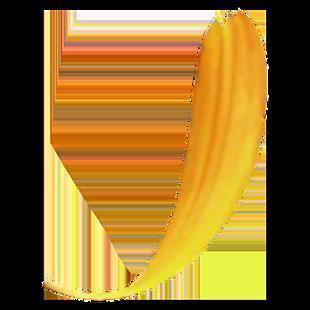 肝家