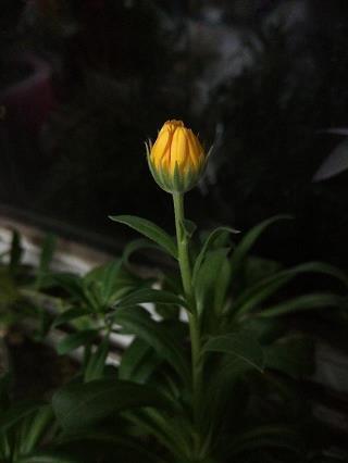 早安心语优美的语句简短 早安心语优美的语句励志生活