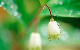 有气质有内涵微信朋友圈说说_心寒的微信朋友圈说说