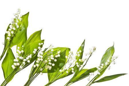 祝福别人爱情长久的话 祝情侣久久的经典句子