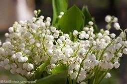 荧侮