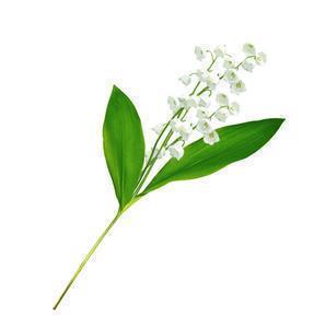 爱你的格言 我爱你格言