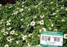 欲加之罪，何患无辞