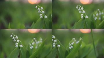 心烦郁闷的句子