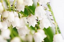 儿童节快乐祝福语发朋友圈2021年合集65句