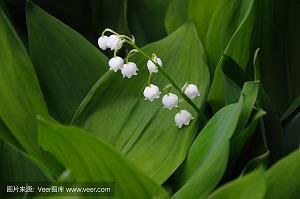 秋天来了写一句话简短