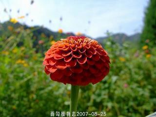 万世流芳