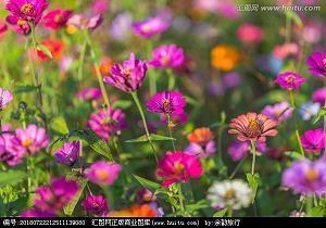 中秋节给员工的祝福