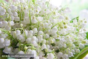 小满节气早安心语祝福语精选37句