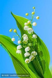 教师节祝福语名句简短2021年(精选91条)
