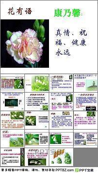 功到自然成