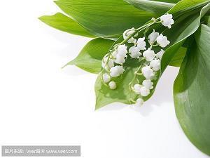 公司晨会正能量分享小故事   世界让你明白生活不易 ，努力让你见证更好的自己