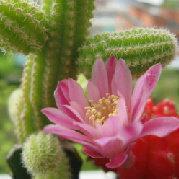 中秋节唯美祝福语短信 中秋节唯美祝福语(精选56条)