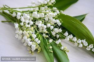 祝老师中秋节快乐的句子
