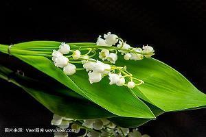 爱迪生的故事5则