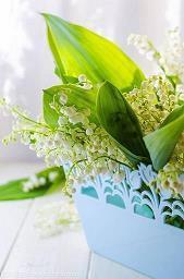 送同事的生日祝福语短信