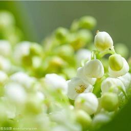 生龙活虎的意思,用生龙活虎造句,生龙活虎的近义词和反义词