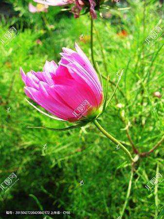 李嘉诚：只要功夫深，铁杵磨成针